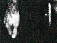 Rectangle 13