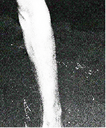 Rectangle 14