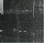Rectangle 20