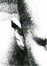 Rectangle 8